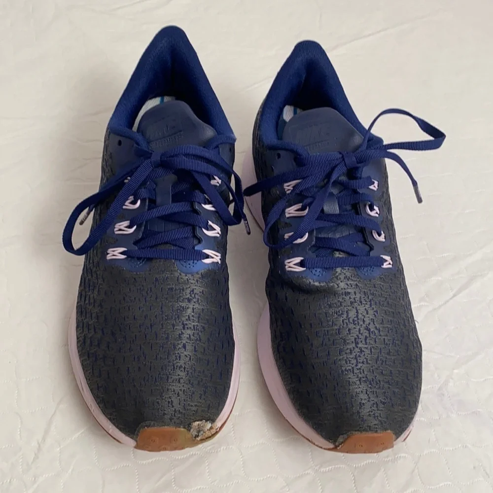 Nike AH8392-400 Air Pegasus Premium running sneakers size 10